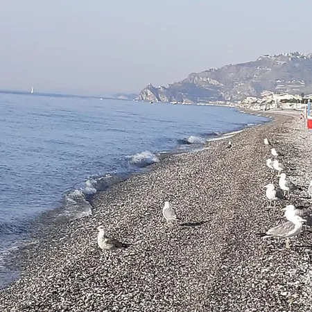 Daire Blue Sicily