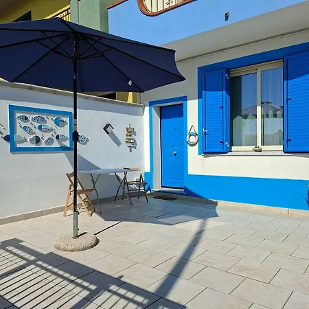 Daire Blue Sicily *